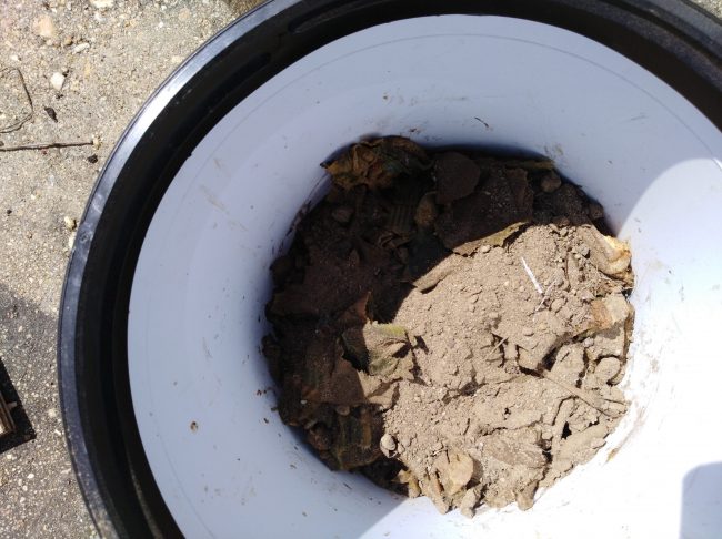 DIY bokashi bin in use