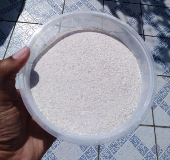 eggshell powder for the garden