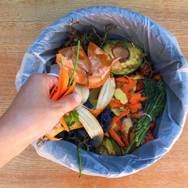 How to compost in an apartment
